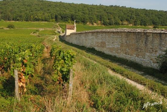Route des vins de bourgogne 2019 14