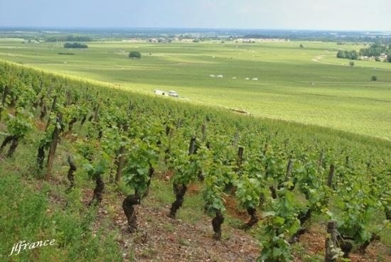 Route des vins de bourgogne 2019 2