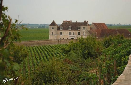 Route des vins de bourgogne 2019 5